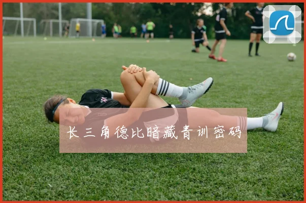 长三角德比暗藏青训密码