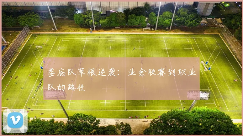 娄底队草根逆袭：业余联赛到职业队的路径