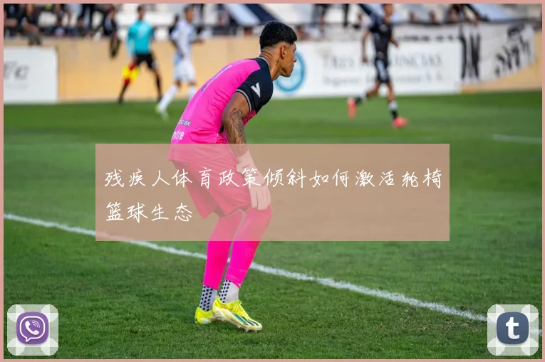残疾人体育政策倾斜如何激活轮椅篮球生态