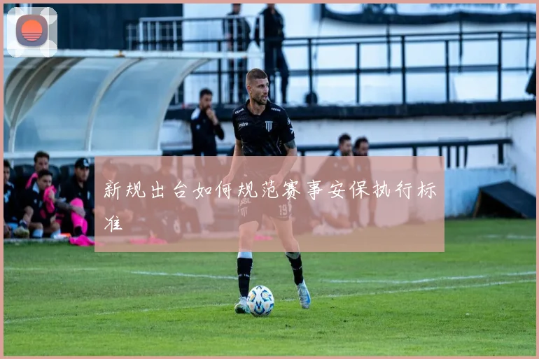 新规出台如何规范赛事安保执行标准