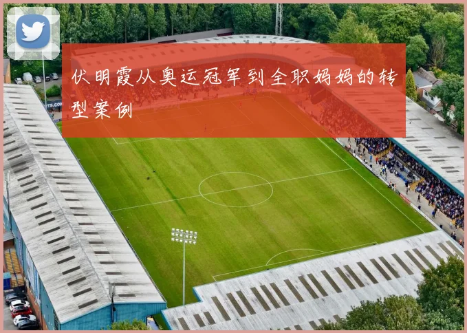 伏明霞从奥运冠军到全职妈妈的转型案例