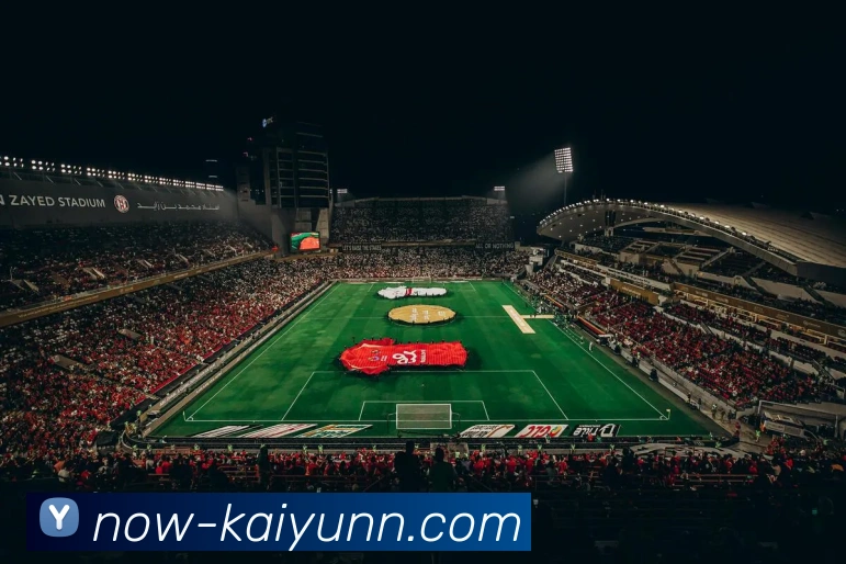 开云平台生态图